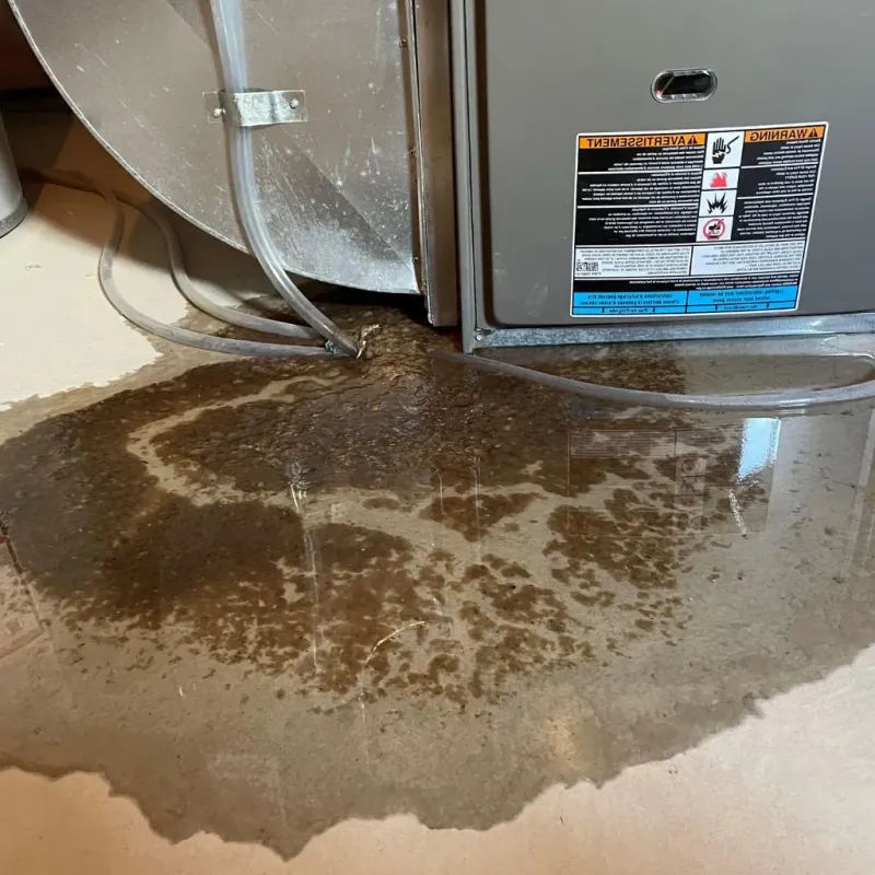 Pipe Burst and Leak Restoration in Flemington, PA